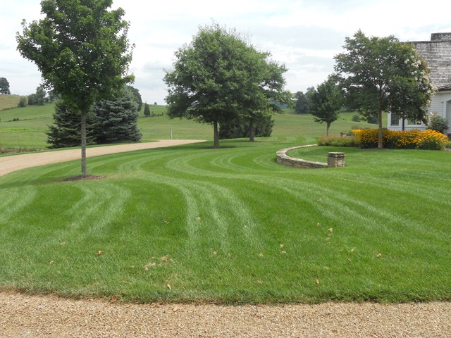 Lawn Maintenance in Johnson City, Tennessee
