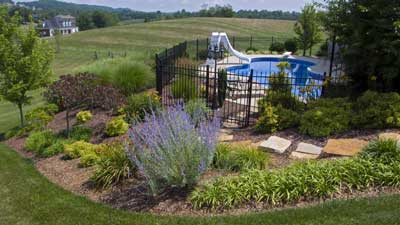 Pool Landscaping in Johnson City, Tennessee