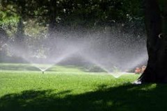 Irrigation Spray Head