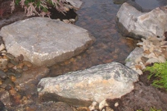 Creek Savio Style (13)