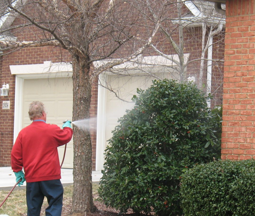 Outdoor Pest Control, Kingsport, TN Englewood Lawn & Landscapes LLC