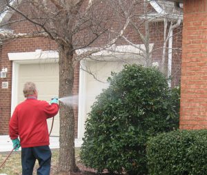Outdoor Pest Control in Kingsport, Tennessee