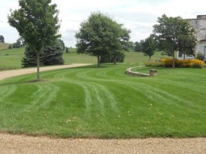 Lawn Maintenance in Kingsport, Tennessee