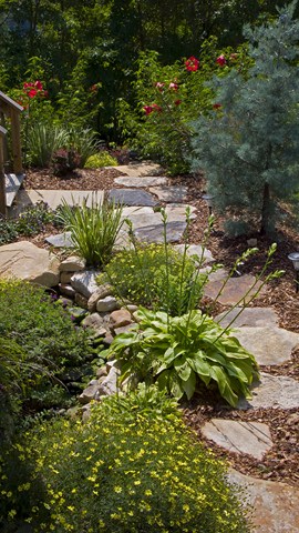 Ten Things to Consider for Backyard Landscaping
