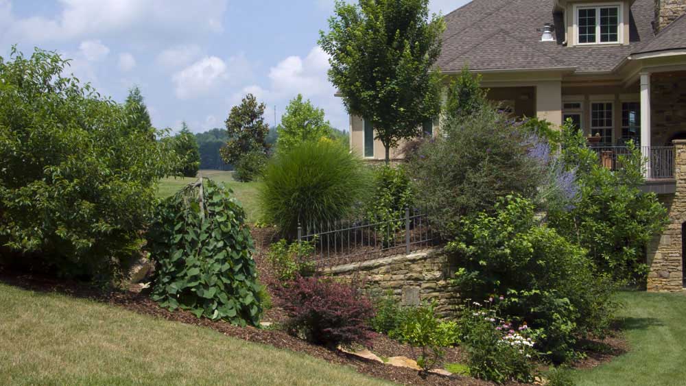 Landscape Design – Love Your Property This Summer!