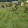 Grass Mowing Services in Johnson City, Tennessee