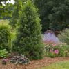 Garden Landscaping in Johnson City, Tennessee