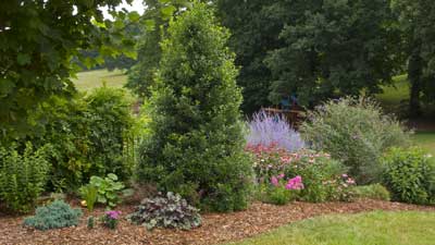 Garden Landscaping in Johnson City, Tennessee