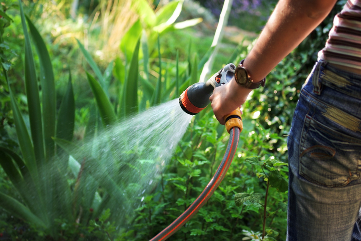 A Healthy Summer Lawn Needs Quality Lawn Irrigation