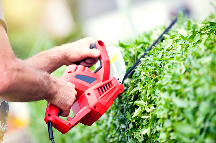 Keep Your Yard Neat and Beautiful with Our Tree and Shrub Trimming Services