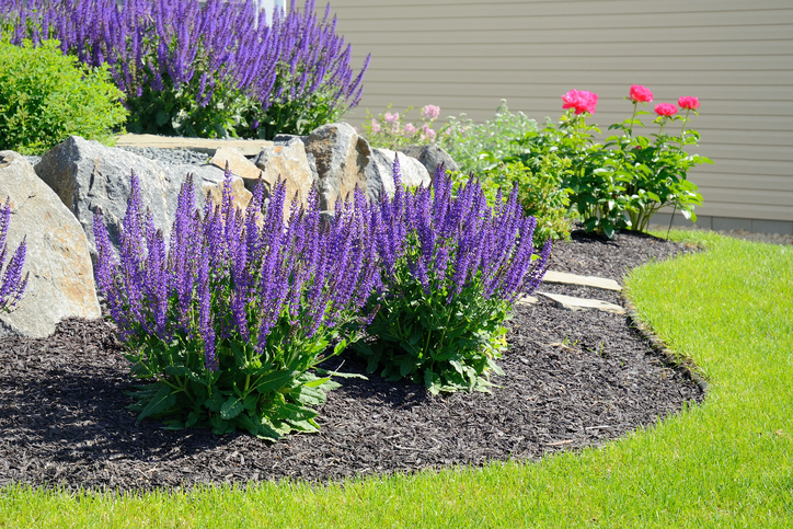 Turn Your Backyard into an Eden with Our Garden Landscaping Services